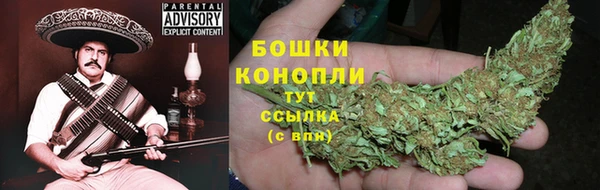 ECSTASY Вязьма